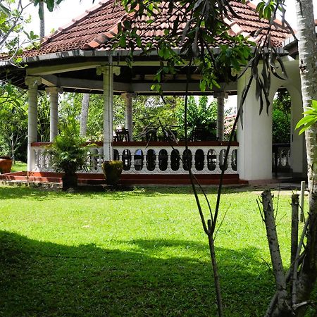Top Of The Hill Guesthouse Weligama Exteriér fotografie