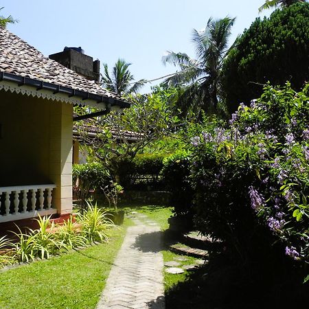 Top Of The Hill Guesthouse Weligama Exteriér fotografie