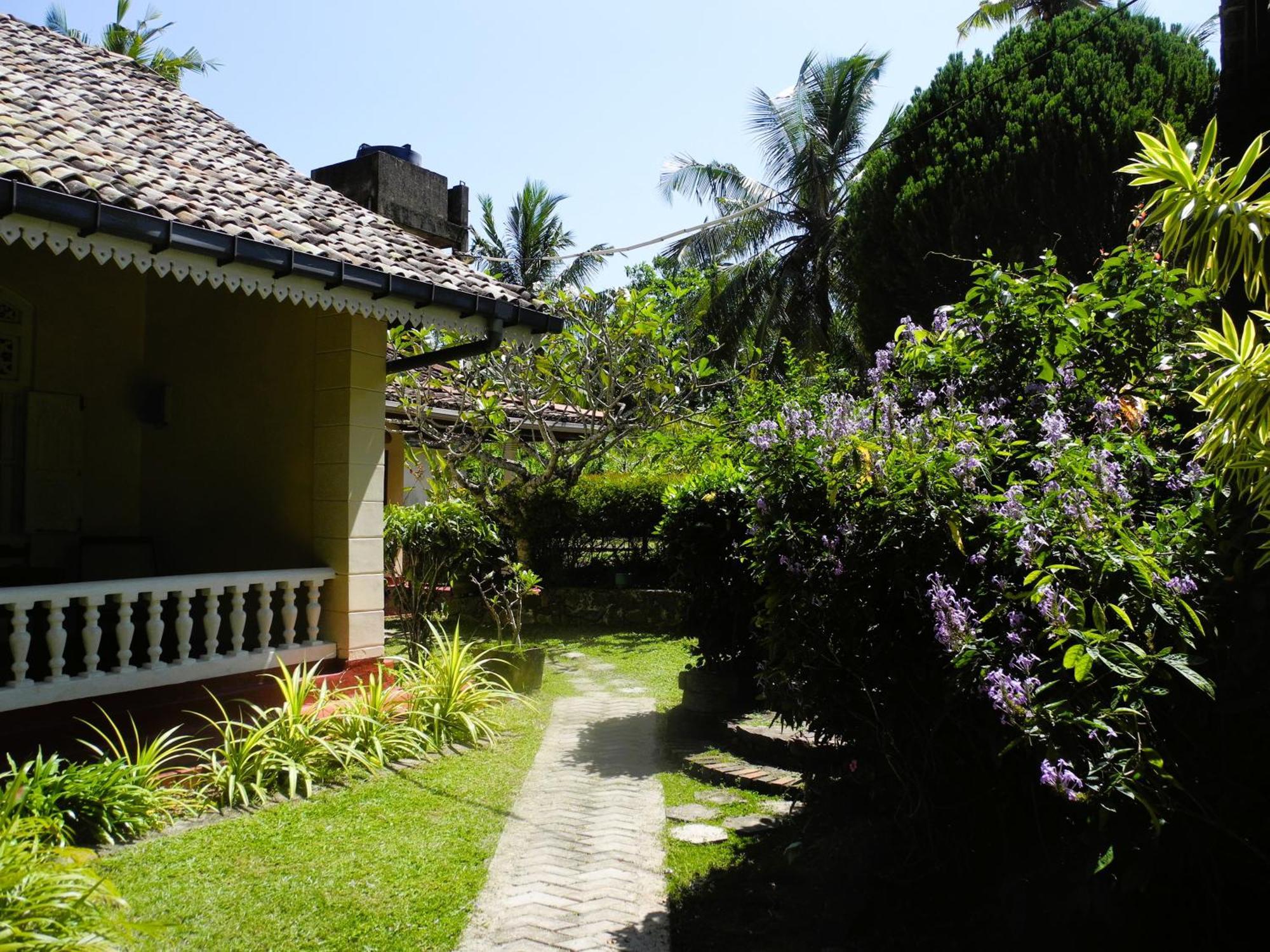 Top Of The Hill Guesthouse Weligama Exteriér fotografie