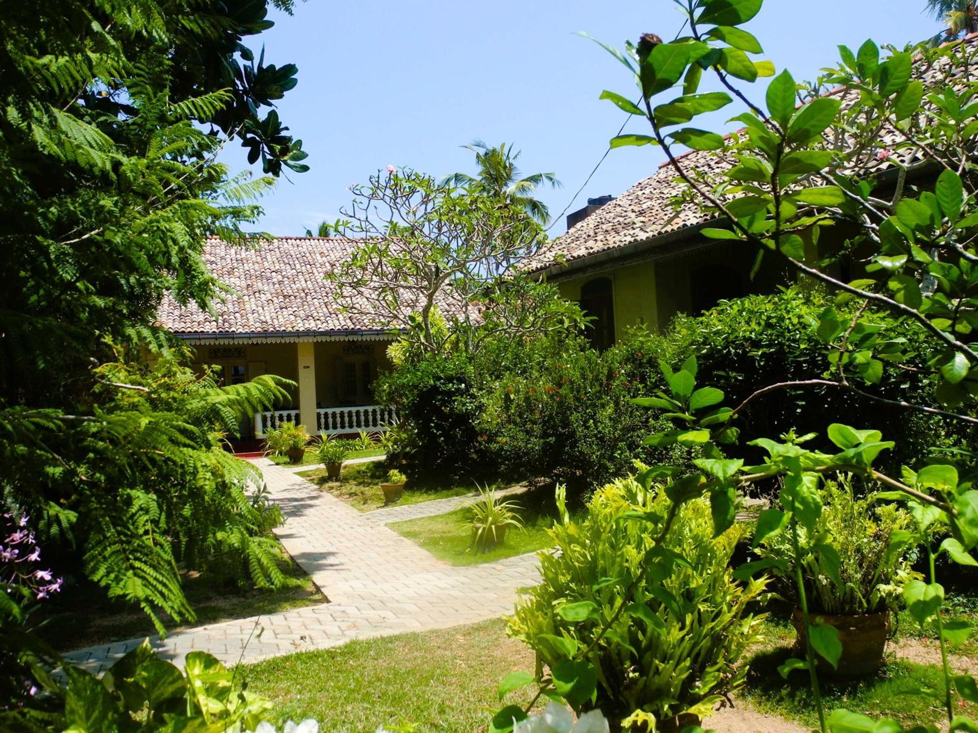 Top Of The Hill Guesthouse Weligama Exteriér fotografie