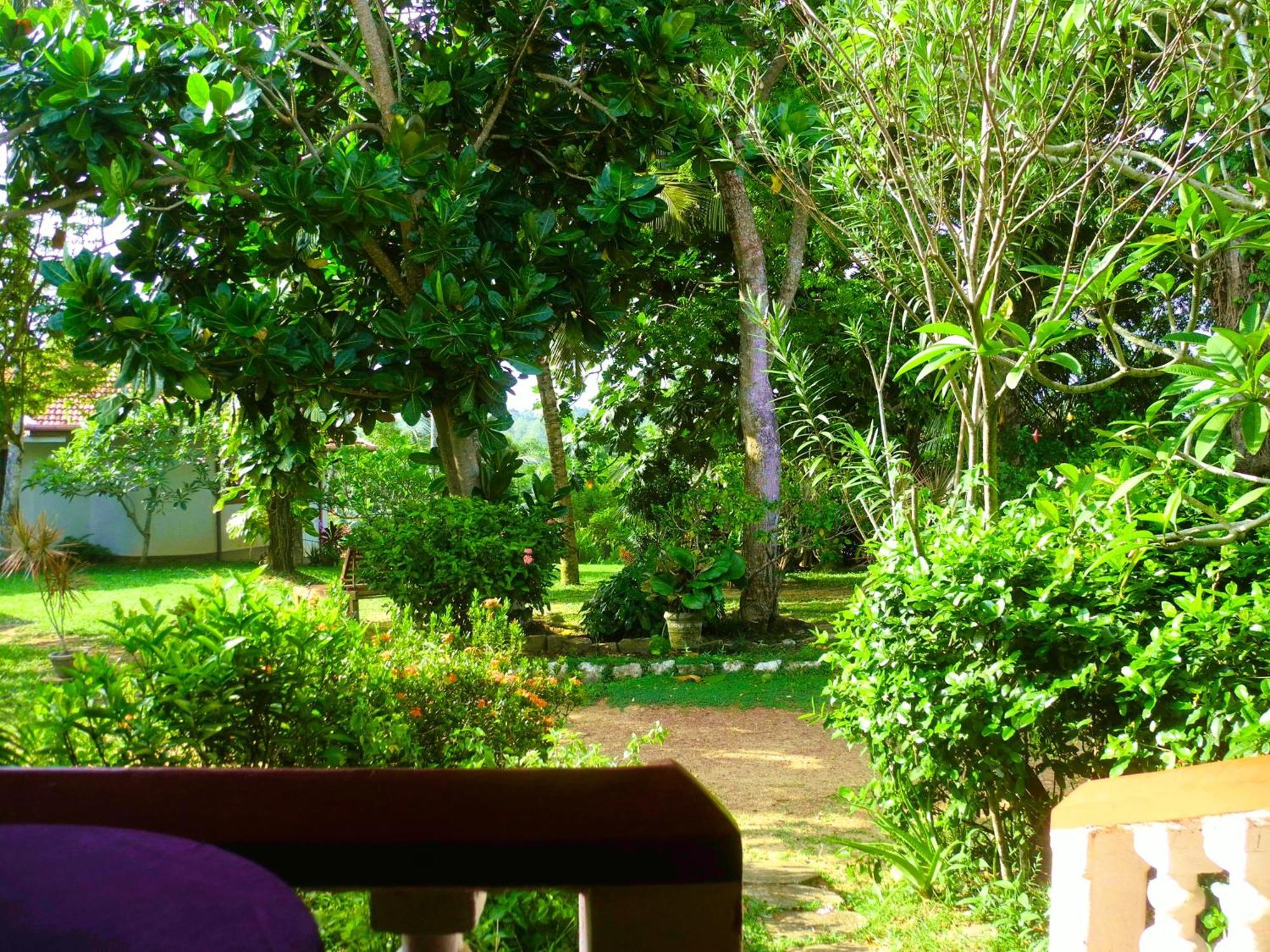 Top Of The Hill Guesthouse Weligama Pokoj fotografie